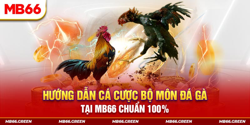 97win kết quả xổ số miền bắc ngày hôm nay