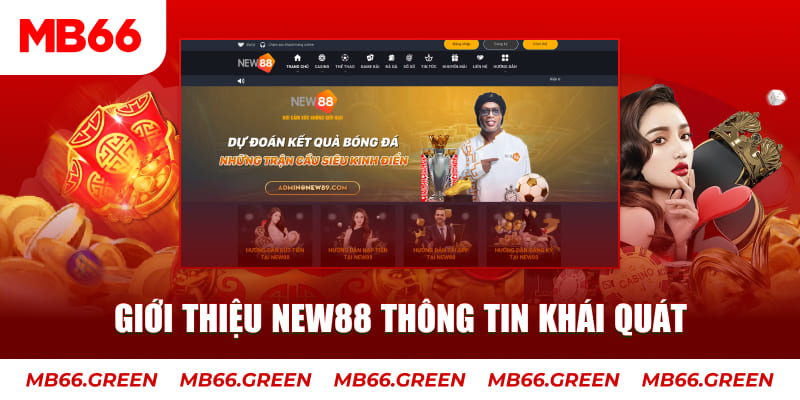 97win c1 gà chọi