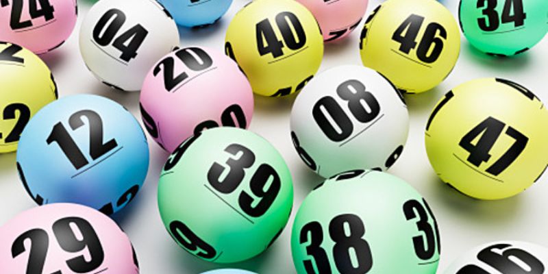 97win gà chọi c1 mới nhất