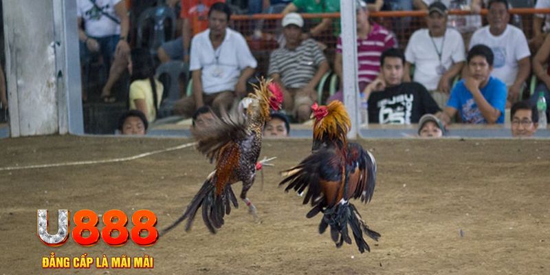 97win đăng nhập mậu binh khuyến mãi