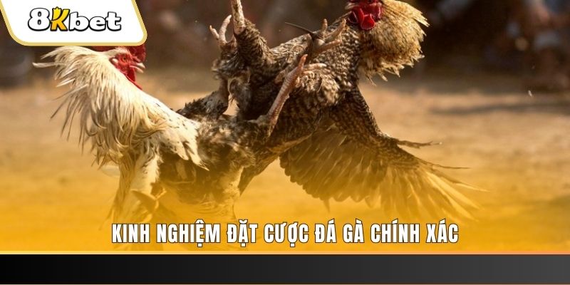 97win xổ số thứ bảy hàng tuần
