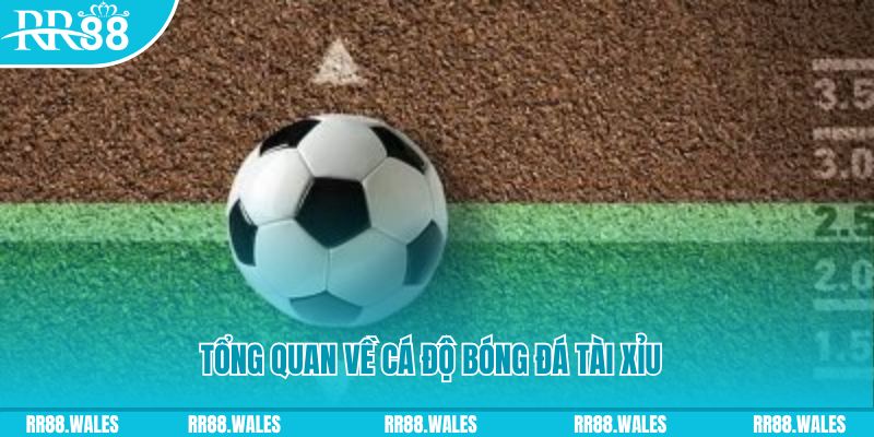 97win đăng nhập roulette online
