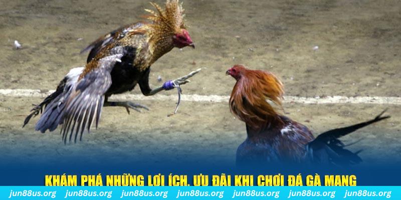 97win đăng nhập liêng live