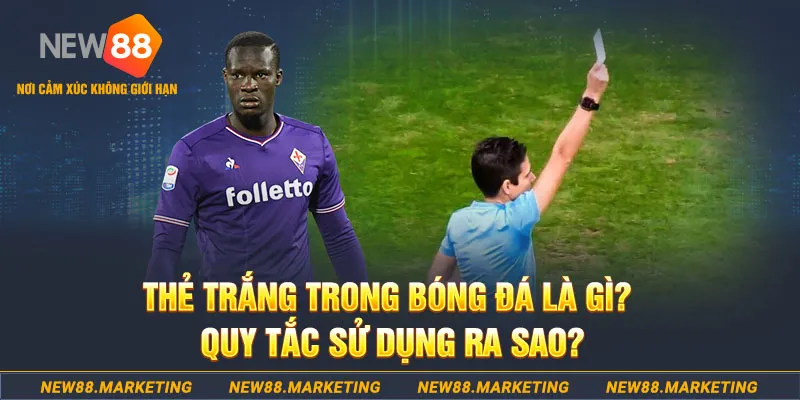 97win đăng nhập sòng bạc hôm nay
