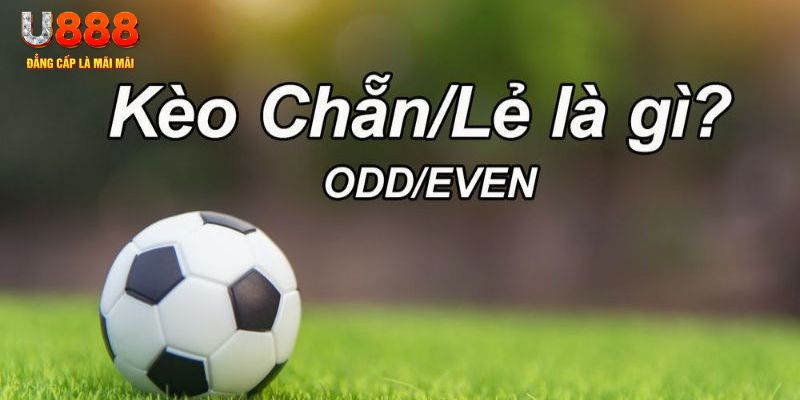 97win đăng nhập sòng bạc 2024